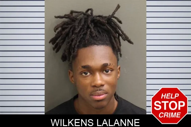 Wilkens Lalanne