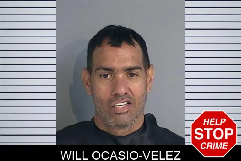 Will Ocasio-Velez
