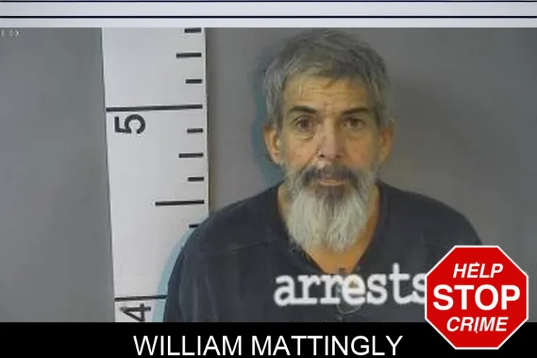 William Mattingly