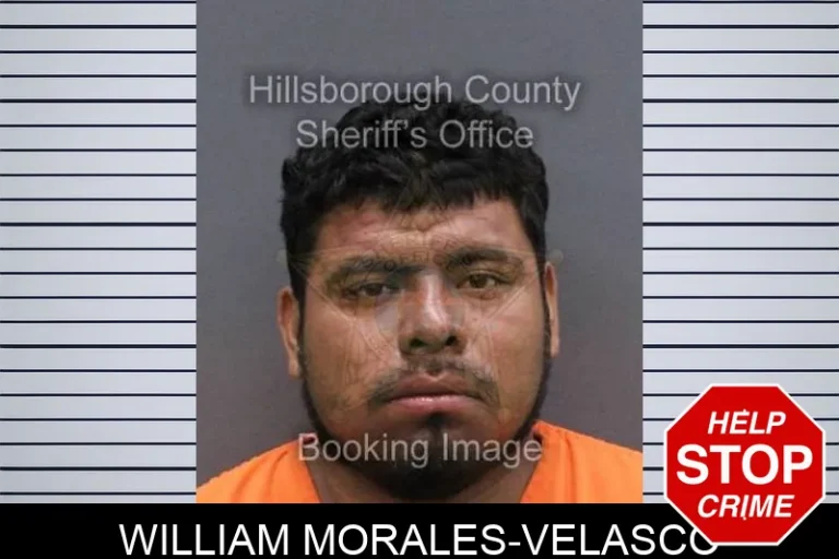 William Morales-Velasco