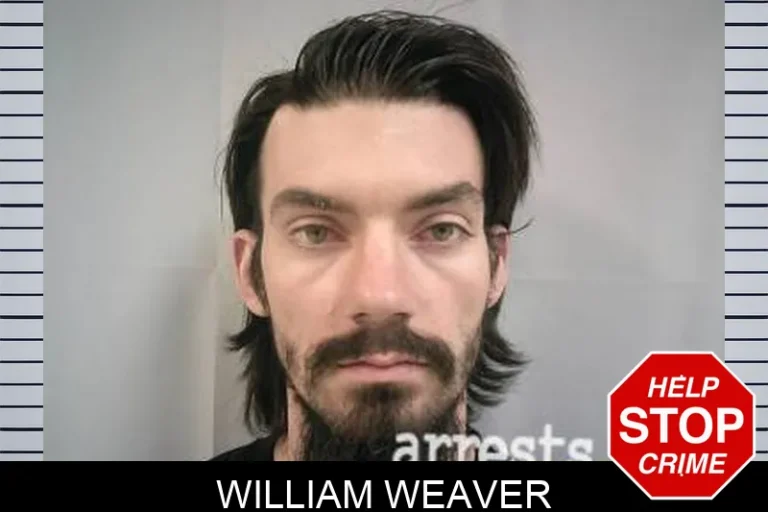 William Weaver