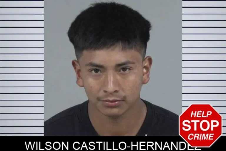 Wilson Castillo-Hernandez