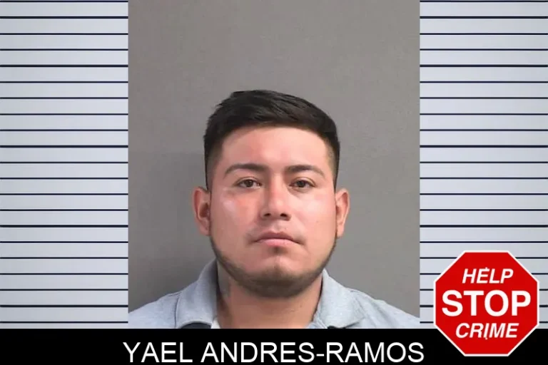 Yael Andres-Ramos