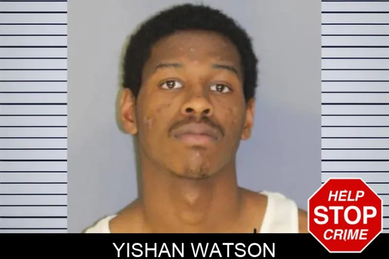 Yishan Watson