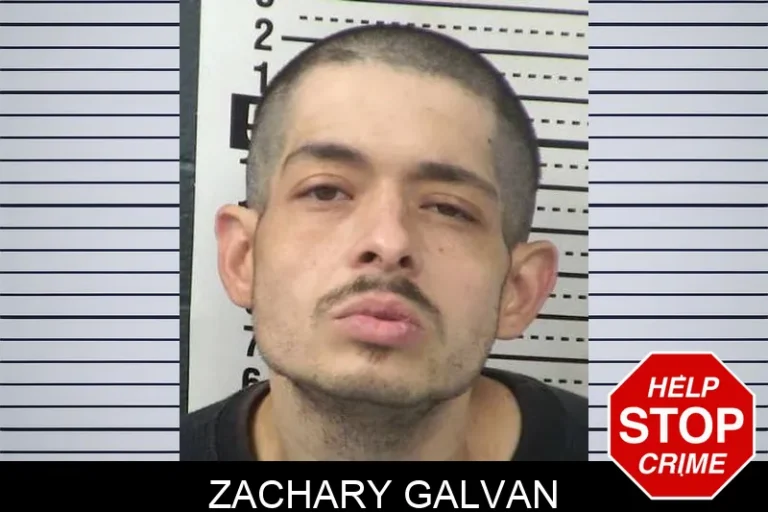 Zachary Galvan