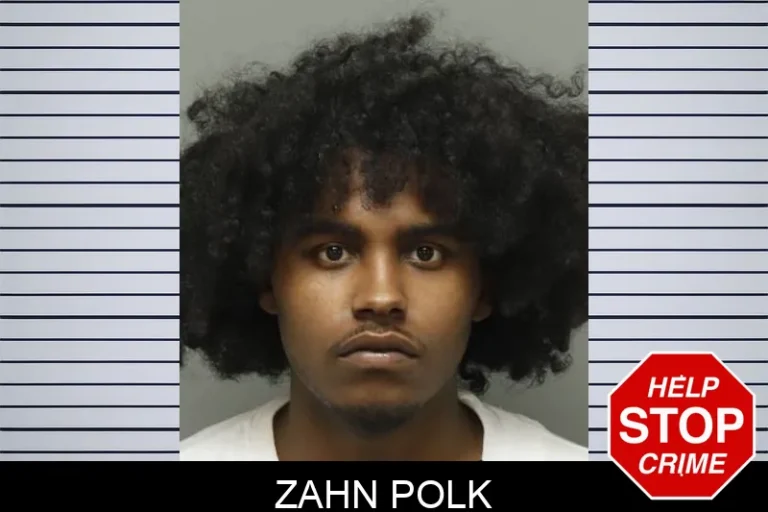 Zahn Polk