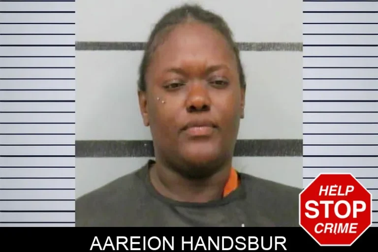 Aareion Handsbur