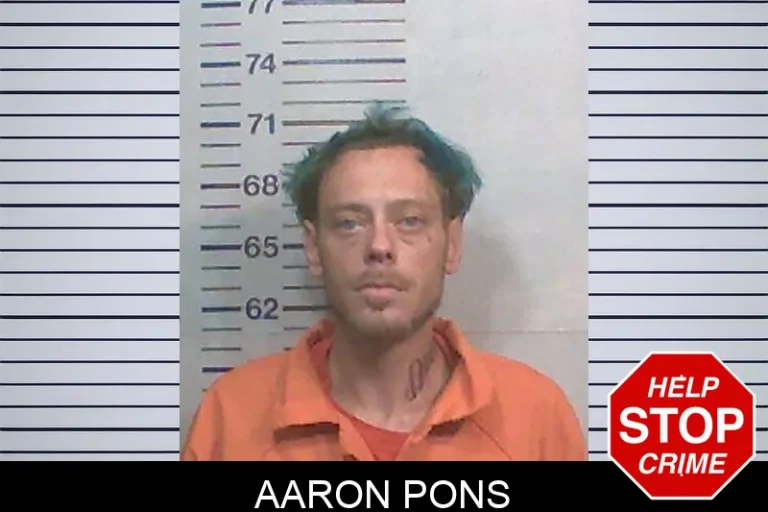 Aaron Pons