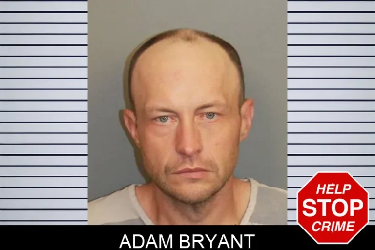 Adam Bryant