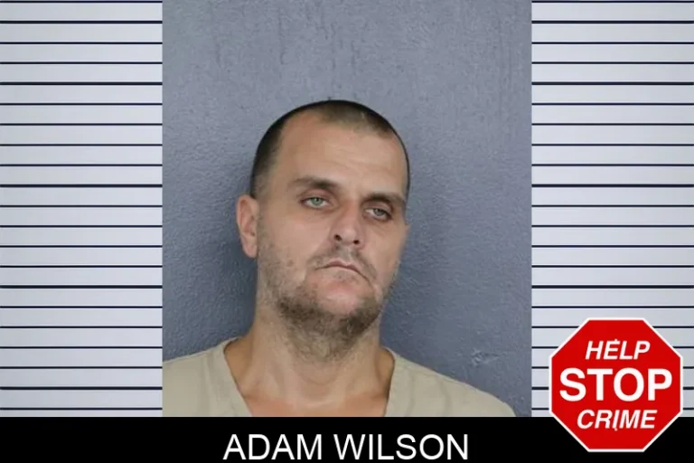 Adam Wilson