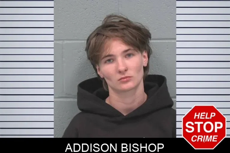 Addison Bishop