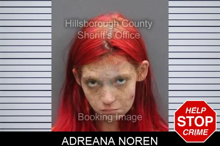Adreana Noren