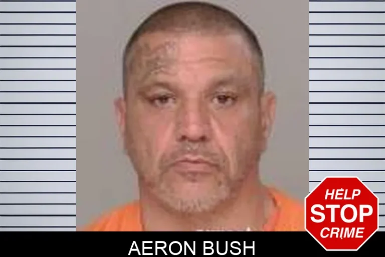 Aeron Bush