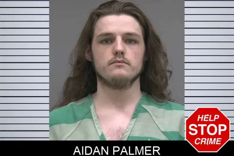 Aidan Palmer