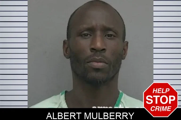Albert Mulberry