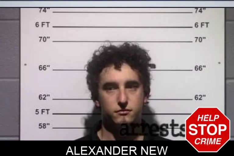 Alexander New