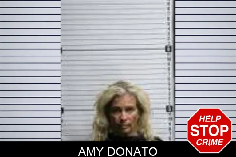 Amy Donato