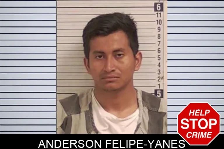 Anderson Felipe-Yanes