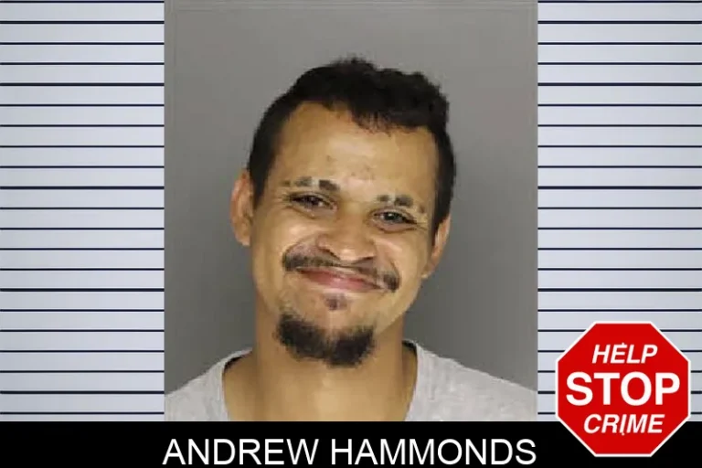 Andrew Hammonds