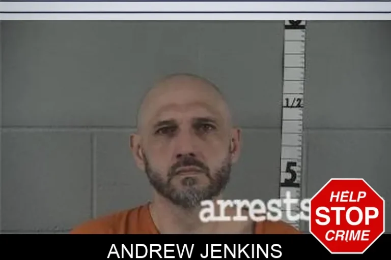Andrew Jenkins