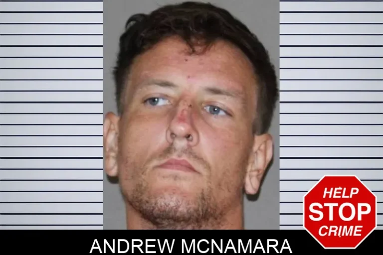 Andrew McNamara