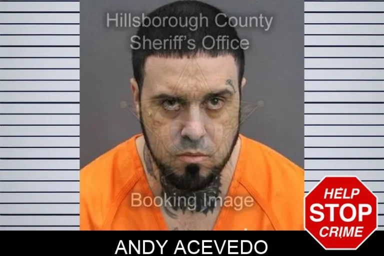Andy Acevedo