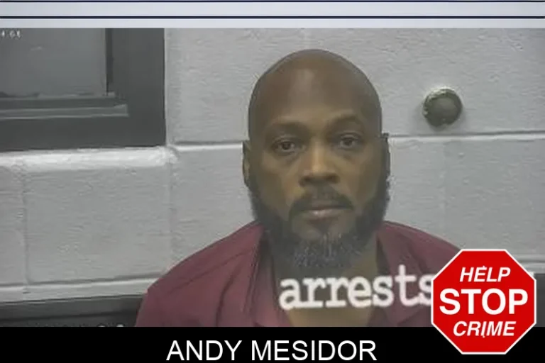 Andy Mesidor