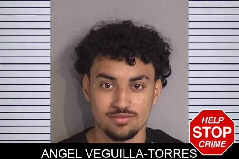 Angel Veguilla-Torres