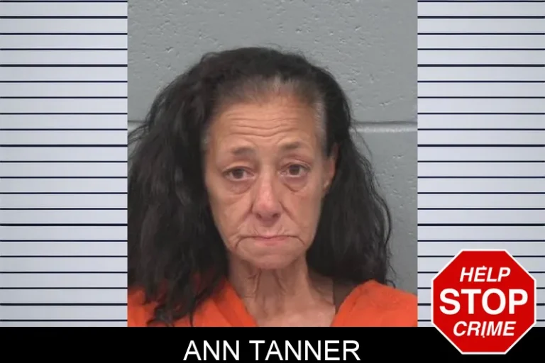 Ann Tanner