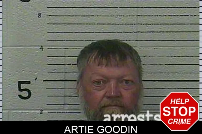 Artie Goodin