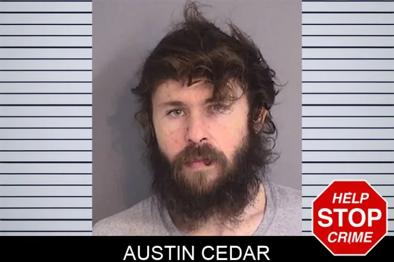 Austin Cedar