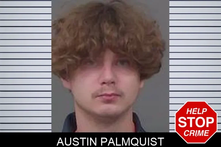 Austin Palmquist