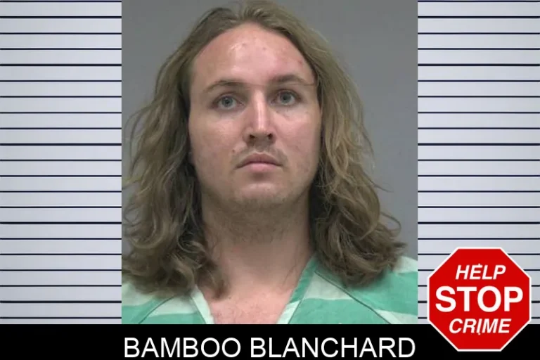 Bamboo Blanchard