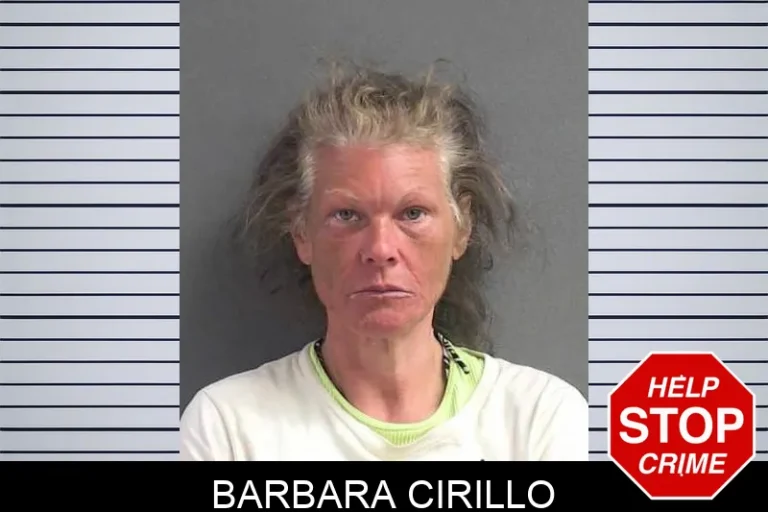 Barbara Cirillo
