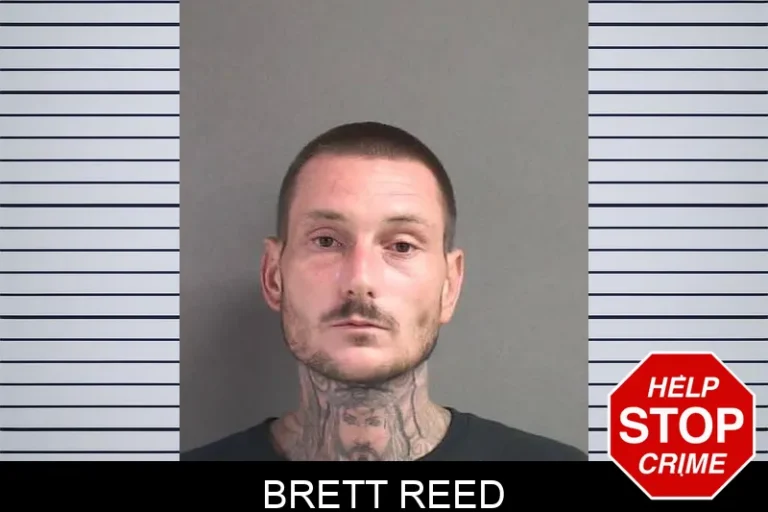 Brett Reed