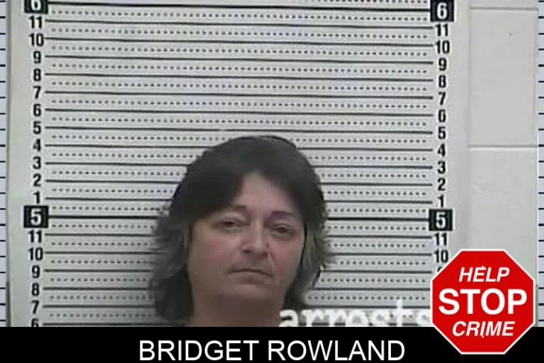 Bridget Rowland