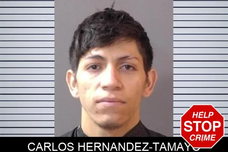 Carlos Hernandez-Tamayo