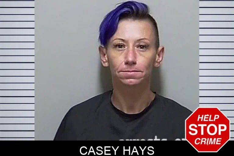 Casey Hays