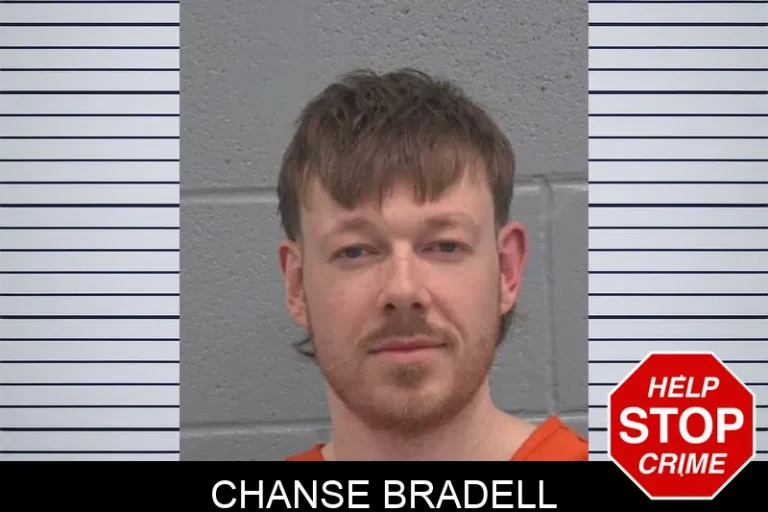 Chanse Bradell