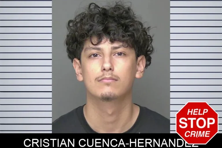 Cristian Cuenca-Hernandez