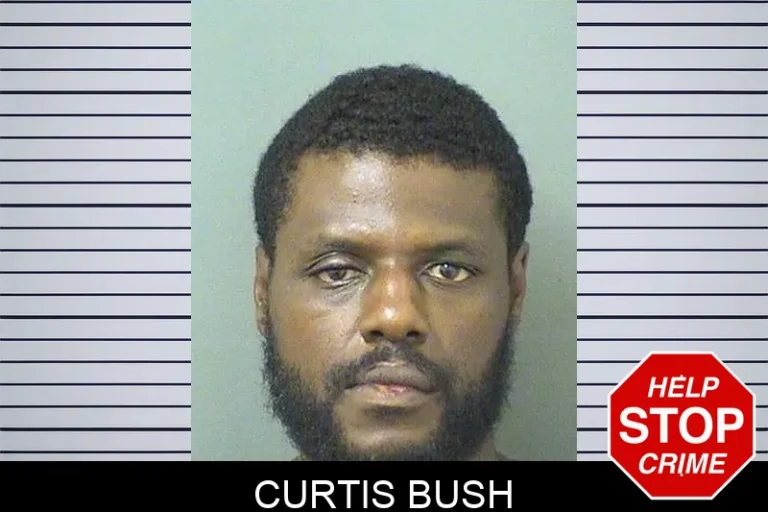 Curtis Bush