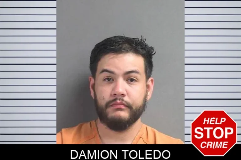 Damion Toledo