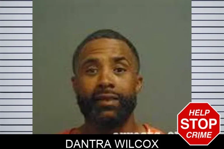 Dantra Wilcox