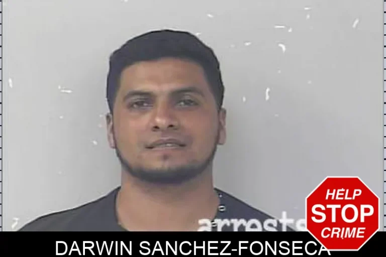 Darwin Sanchez-Fonseca