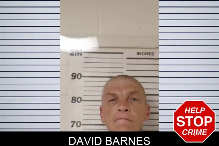 David Barnes
