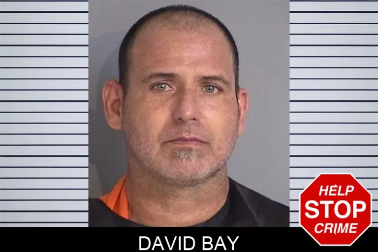 David Bay