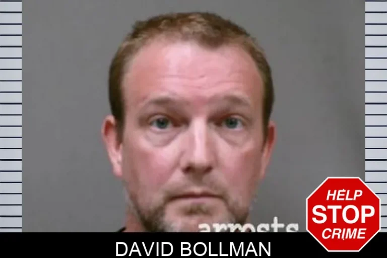 David Bollman
