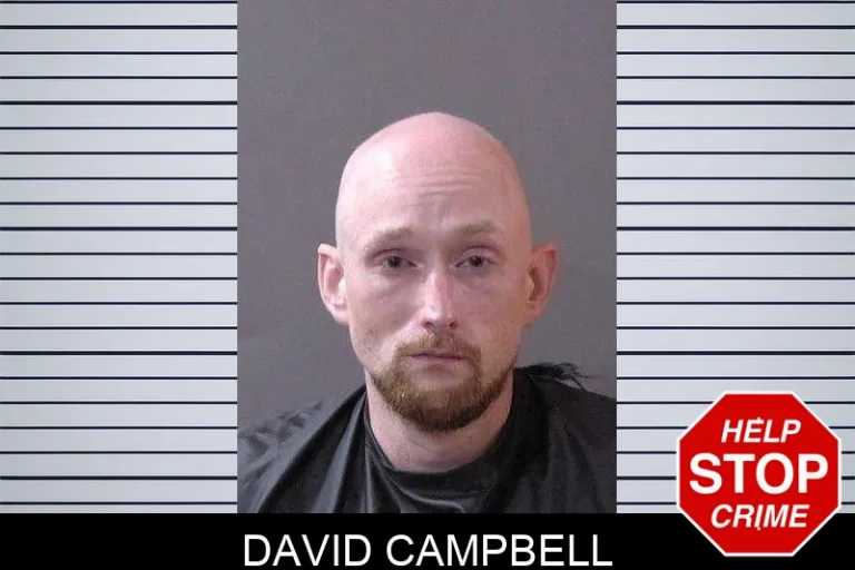 David Campbell