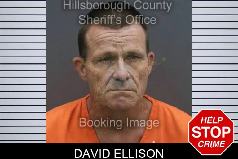 David Ellison