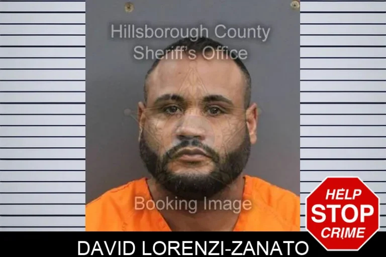 David Lorenzi-Zanato